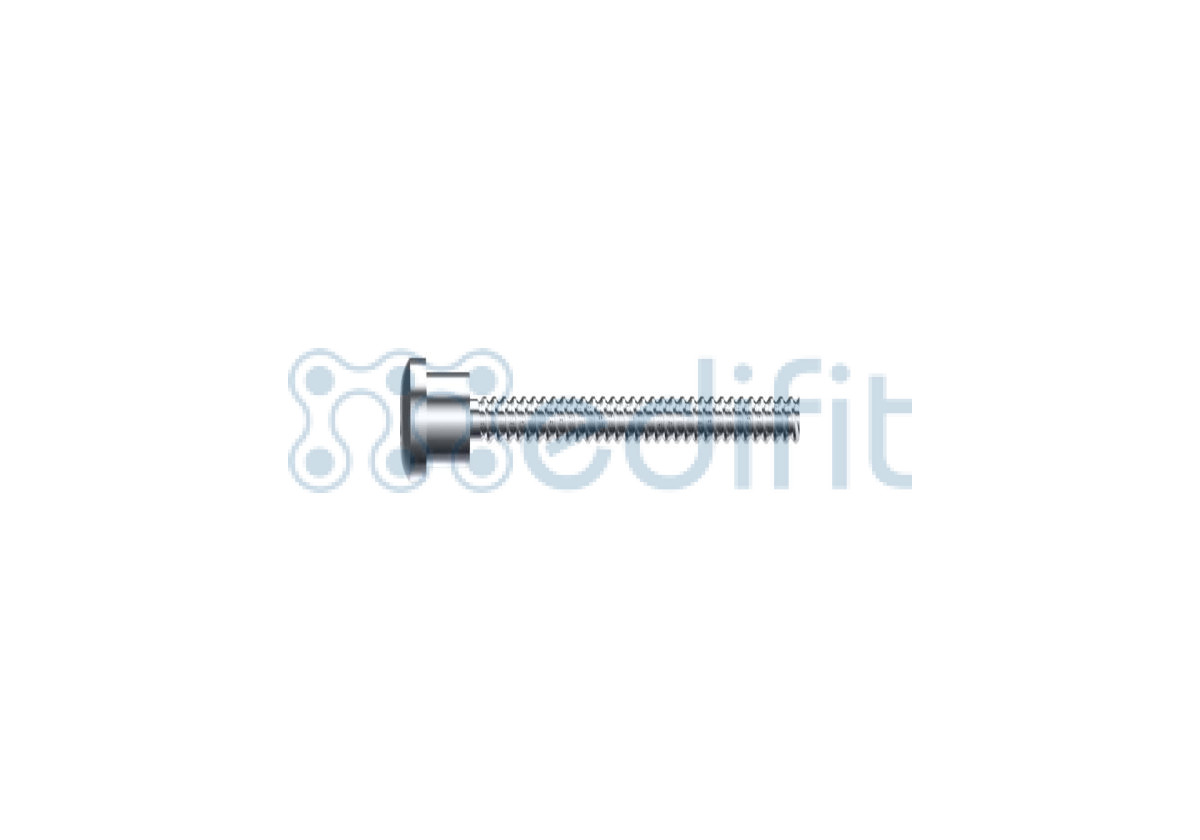 Compression Screw Window DHS COMPRESSION SCREW